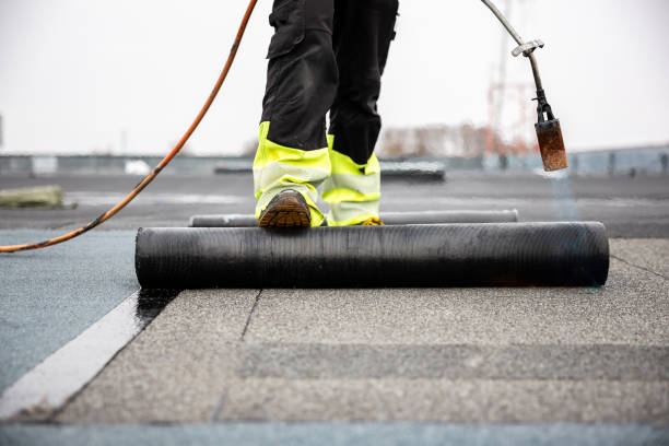 Best Roof Insulation Installation  in Hertford, NC